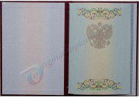 КРАСНЫЙ диплом специалиста (С ОТЛИЧИЕМ) 2011-2013 год КРАСНЫЙ диплом специалиста (С ОТЛИЧИЕМ)  2011-2013 год